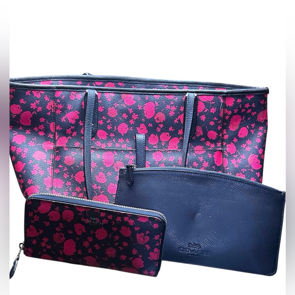 Coach City Prairie Floral Bag wallet set
